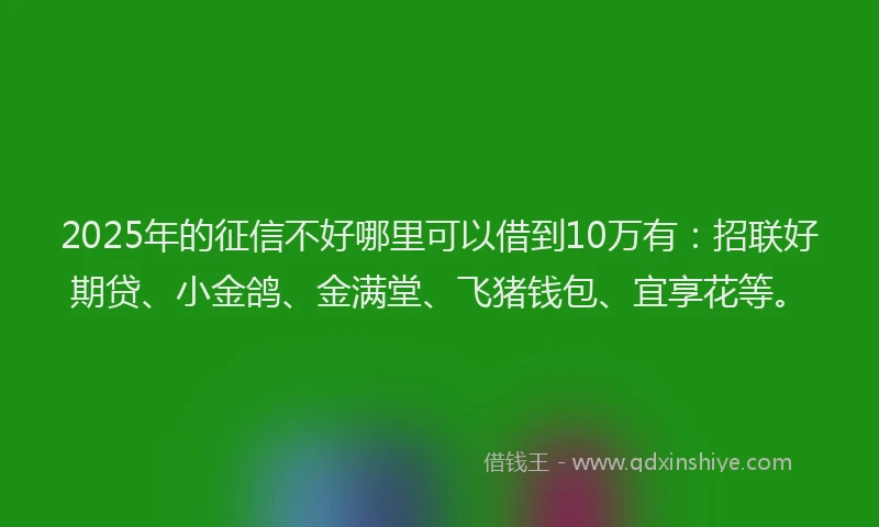 2025年的征信不好哪里可以借到10万有：招联好期贷、小金鸽、金满堂、飞猪钱包、宜享花等。