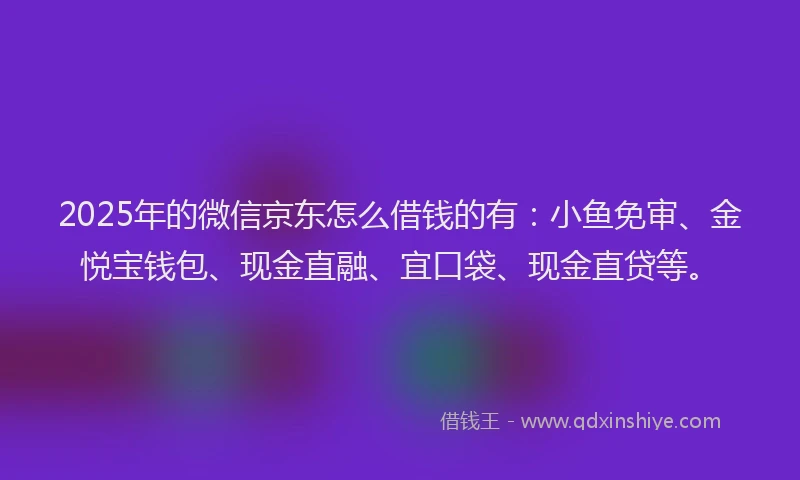 2025年的微信京东怎么借钱的有：小鱼免审、金悦宝钱包、现金直融、宜口袋、现金直贷等。