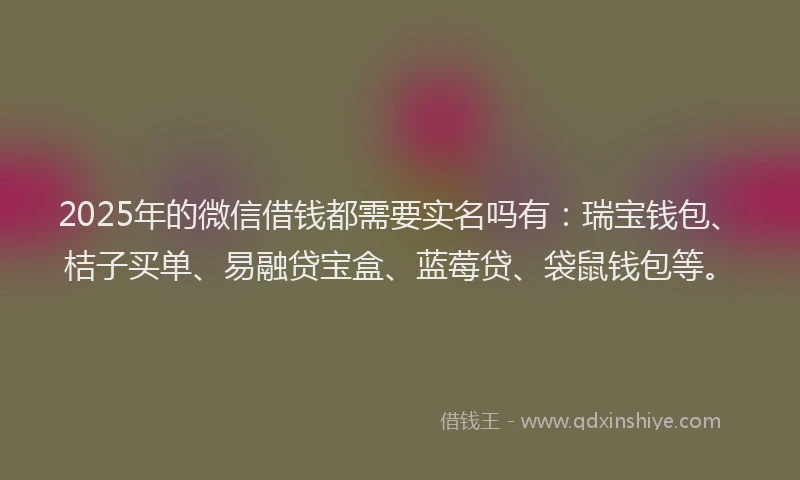 2025年的微信借钱都需要实名吗有：瑞宝钱包、桔子买单、易融贷宝盒、蓝莓贷、袋鼠钱包等。