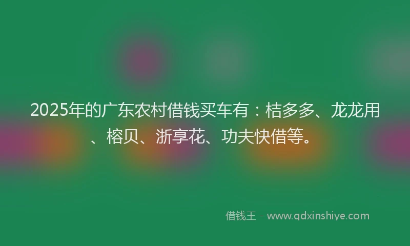 2025年的广东农村借钱买车有：桔多多、龙龙用、榕贝、浙享花、功夫快借等。