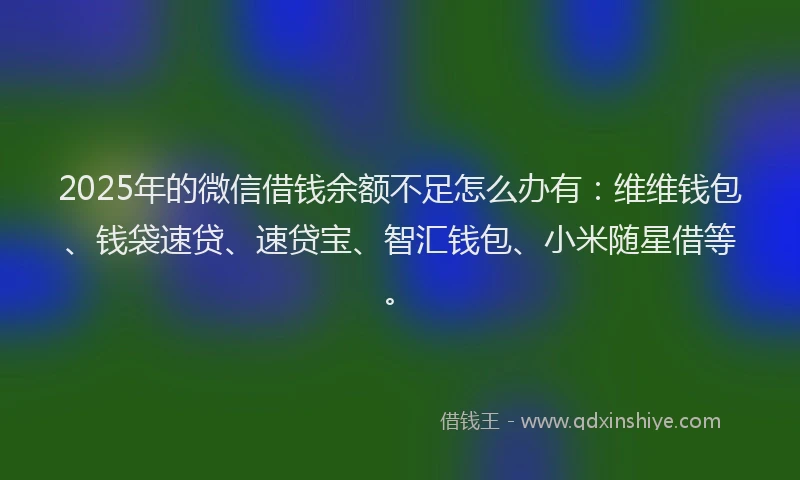 2025年的微信借钱余额不足怎么办有：维维钱包、钱袋速贷、速贷宝、智汇钱包、小米随星借等。