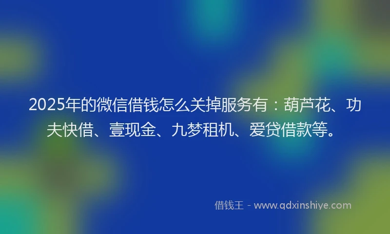 2025年的微信借钱怎么关掉服务有：葫芦花、功夫快借、壹现金、九梦租机、爱贷借款等。