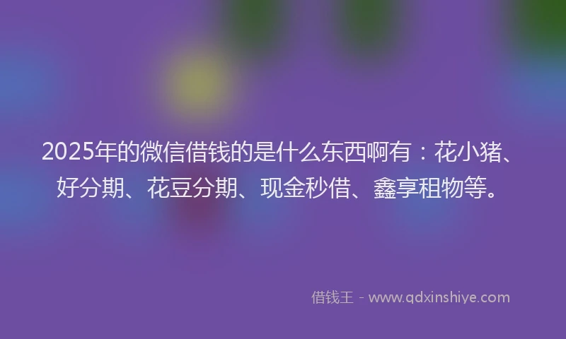 2025年的微信借钱的是什么东西啊有：花小猪、好分期、花豆分期、现金秒借、鑫享租物等。