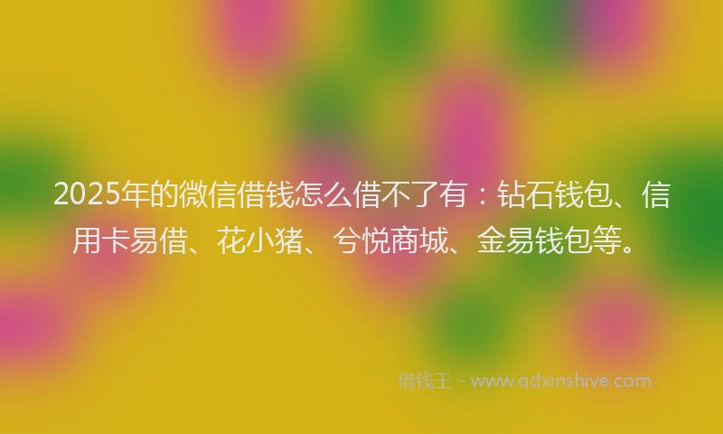 2025年的微信借钱怎么借不了有：钻石钱包、信用卡易借、花小猪、兮悦商城、金易钱包等。