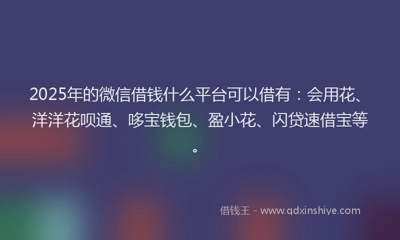 2025年的微信借钱什么平台可以借有：会用花、洋洋花呗通、哆宝钱包、盈小花、闪贷速借宝等。