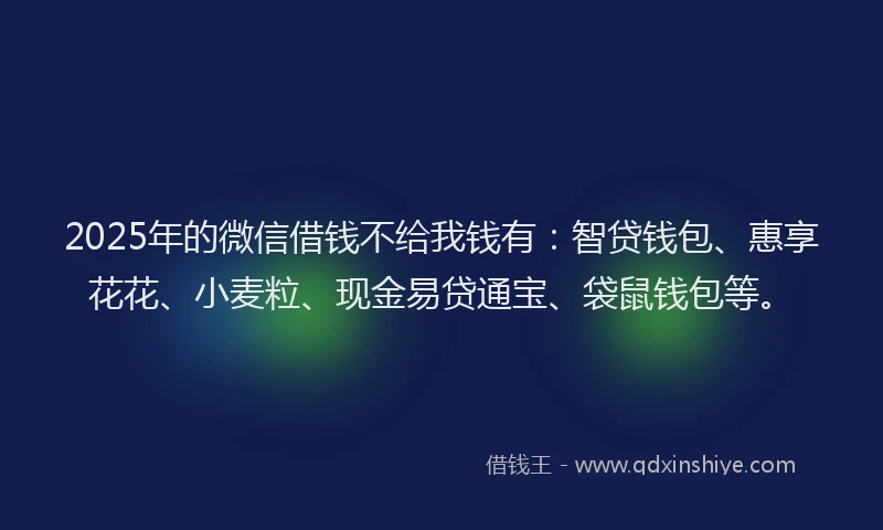 2025年的微信借钱不给我钱有：智贷钱包、惠享花花、小麦粒、现金易贷通宝、袋鼠钱包等。