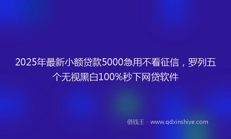 2025年最新小额贷款5000急用不看征信，罗列五个无视黑白100%秒下网贷软件