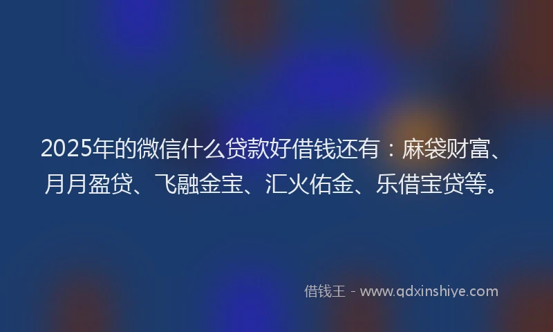 2025年的微信什么贷款好借钱还有：麻袋财富、月月盈贷、飞融金宝、汇火佑金、乐借宝贷等。