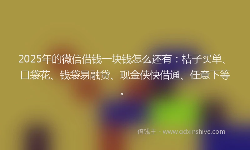 2025年的微信借钱一块钱怎么还有：桔子买单、口袋花、钱袋易融贷、现金侠快借通、任意下等。