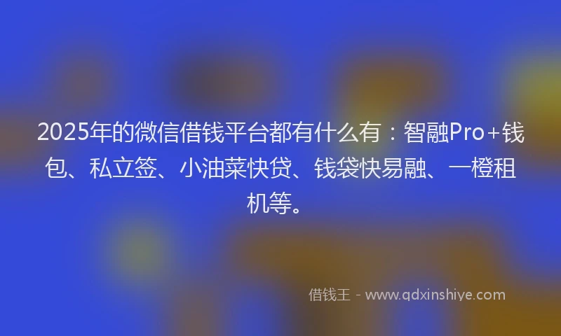 2025年的微信借钱平台都有什么有：智融Pro+钱包、私立签、小油菜快贷、钱袋快易融、一橙租机等。