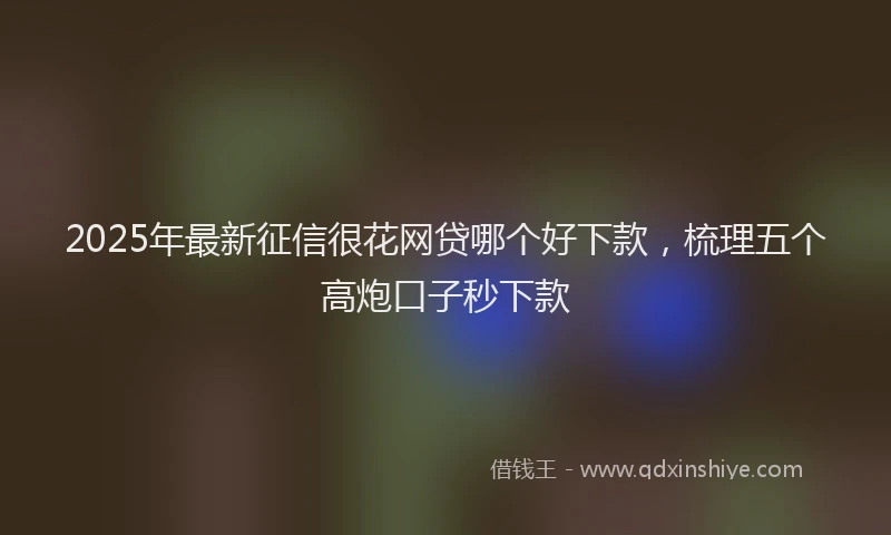 2025年最新征信很花网贷哪个好下款，梳理五个高炮口子秒下款