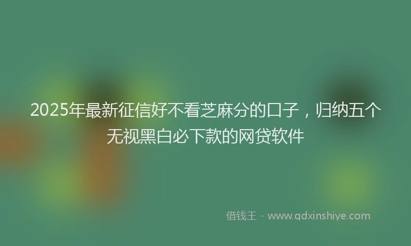 2025年最新征信好不看芝麻分的口子，归纳五个无视黑白必下款的网贷软件