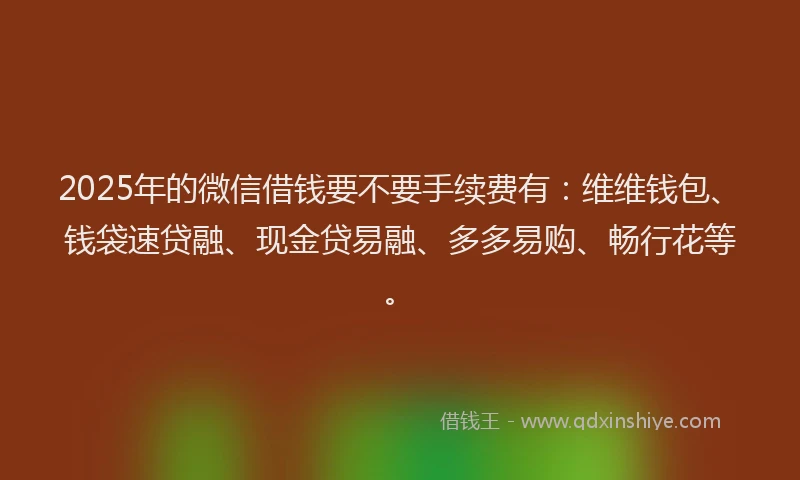 2025年的微信借钱要不要手续费有：维维钱包、钱袋速贷融、现金贷易融、多多易购、畅行花等。