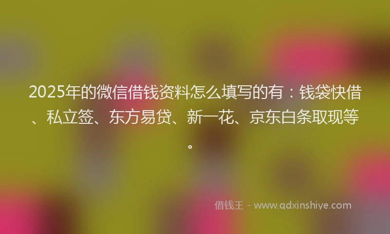 2025年的微信借钱资料怎么填写的有：钱袋快借、私立签、东方易贷、新一花、京东白条取现等。
