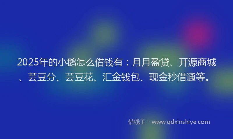 2025年的小鹅怎么借钱有：月月盈贷、开源商城、芸豆分、芸豆花、汇金钱包、现金秒借通等。