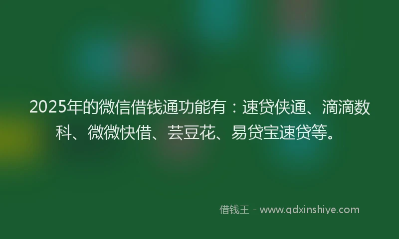 2025年的微信借钱通功能有：速贷侠通、滴滴数科、微微快借、芸豆花、易贷宝速贷等。