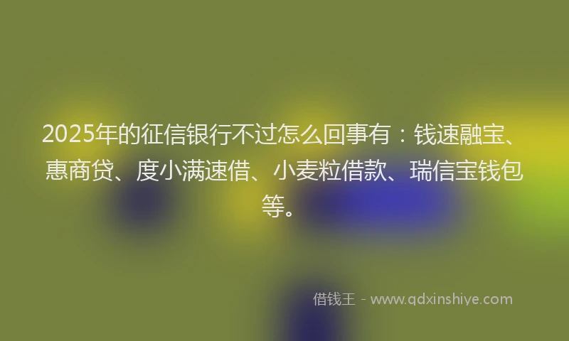 2025年的征信银行不过怎么回事有：钱速融宝、惠商贷、度小满速借、小麦粒借款、瑞信宝钱包等。