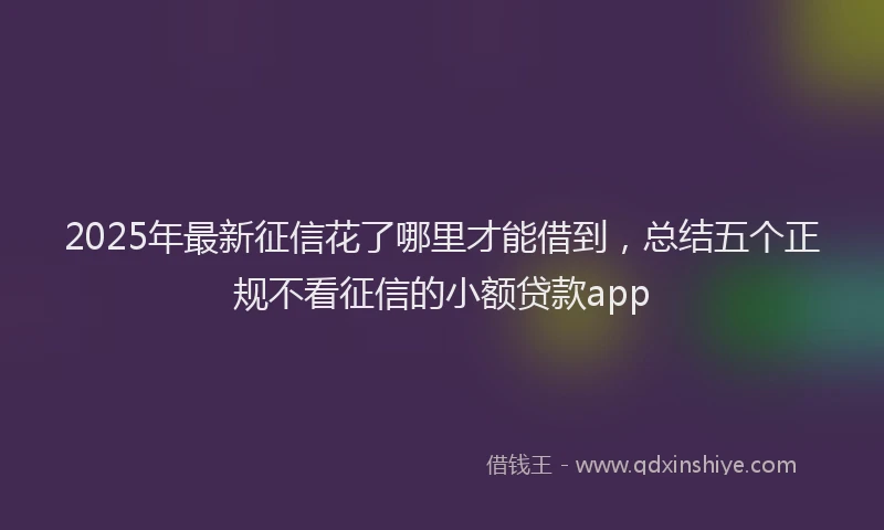 2025年最新征信花了哪里才能借到，总结五个正规不看征信的小额贷款app