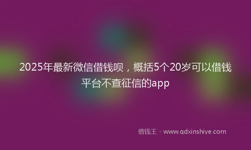 2025年最新微信借钱呗，概括5个20岁可以借钱平台不查征信的app