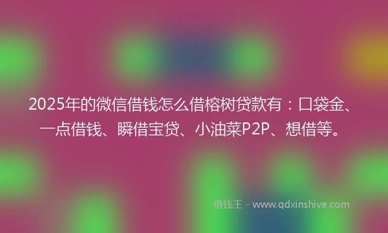 2025年的微信借钱怎么借榕树贷款有：口袋金、一点借钱、瞬借宝贷、小油菜P2P、想借等。