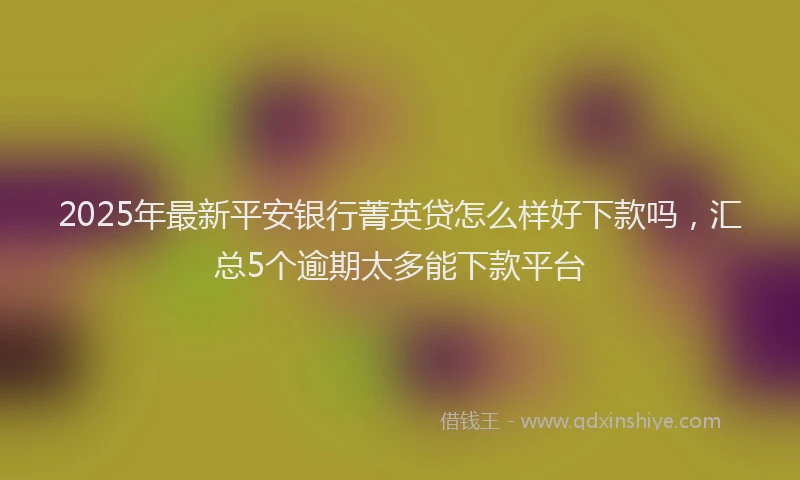 2025年最新平安银行菁英贷怎么样好下款吗，汇总5个逾期太多能下款平台