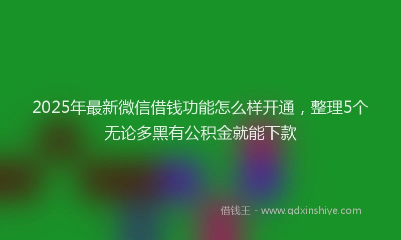 2025年最新微信借钱功能怎么样开通，整理5个无论多黑有公积金就能下款