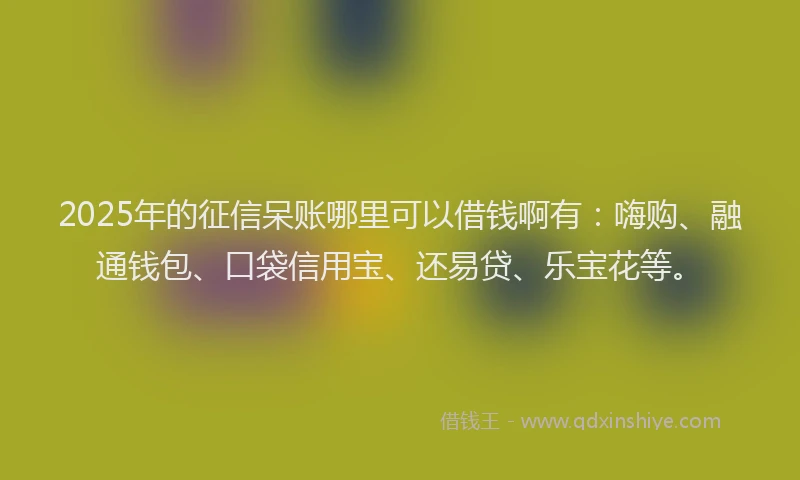2025年的征信呆账哪里可以借钱啊有：嗨购、融通钱包、口袋信用宝、还易贷、乐宝花等。