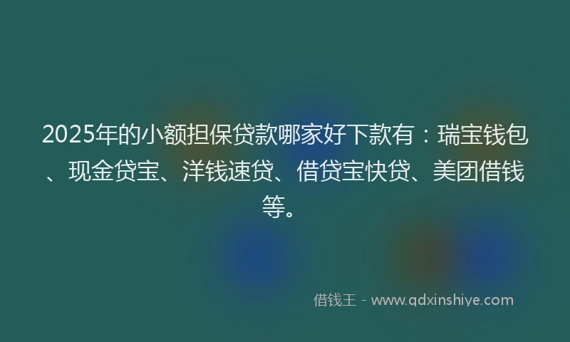 2025年的小额担保贷款哪家好下款有：瑞宝钱包、现金贷宝、洋钱速贷、借贷宝快贷、美团借钱等。