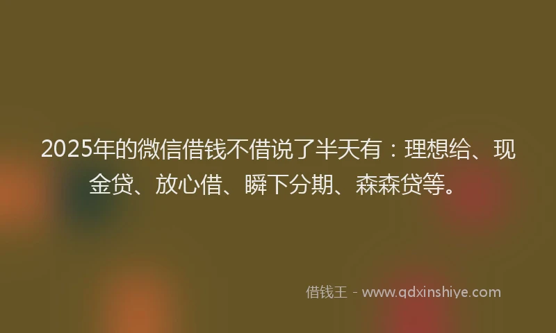 2025年的微信借钱不借说了半天有：理想给、现金贷、放心借、瞬下分期、森森贷等。