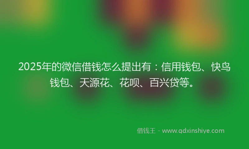 2025年的微信借钱怎么提出有：信用钱包、快鸟钱包、天源花、花呗、百兴贷等。