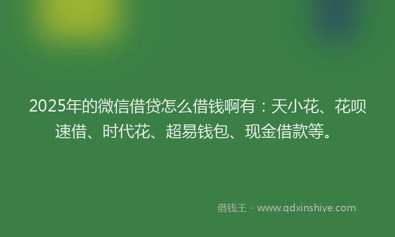 2025年的微信借贷怎么借钱啊有：天小花、花呗速借、时代花、超易钱包、现金借款等。
