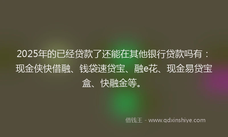2025年的已经贷款了还能在其他银行贷款吗有：现金侠快借融、钱袋速贷宝、融e花、现金易贷宝盒、快融金等。