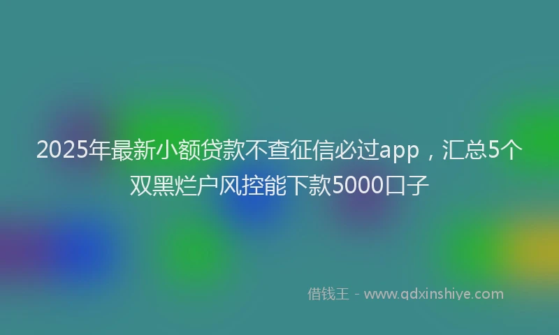 2025年最新小额贷款不查征信必过app，汇总5个双黑烂户风控能下款5000口子