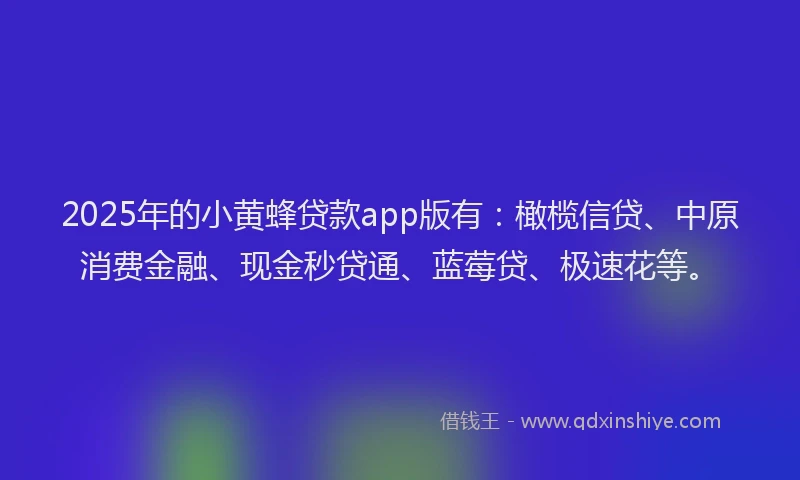 2025年的小黄蜂贷款app版有：橄榄信贷、中原消费金融、现金秒贷通、蓝莓贷、极速花等。