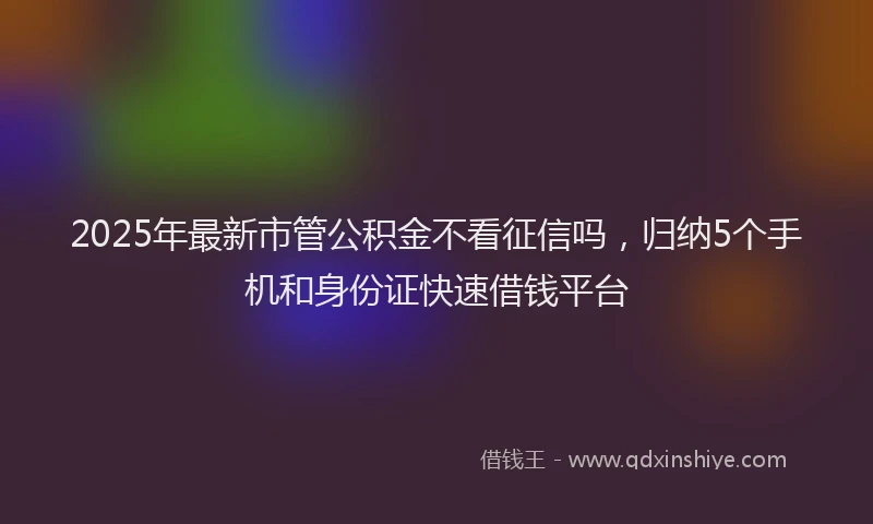 2025年最新市管公积金不看征信吗，归纳5个手机和身份证快速借钱平台