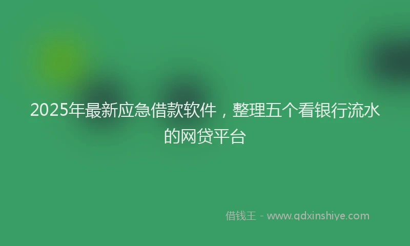 2025年最新应急借款软件，整理五个看银行流水的网贷平台