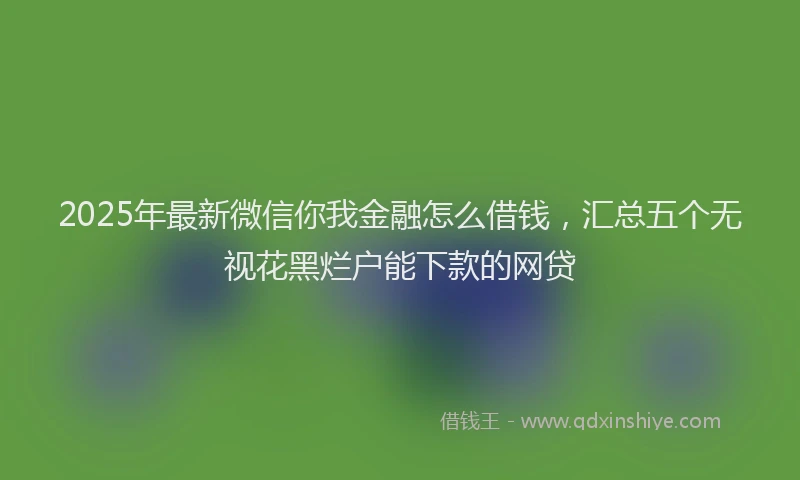 2025年最新微信你我金融怎么借钱，汇总五个无视花黑烂户能下款的网贷