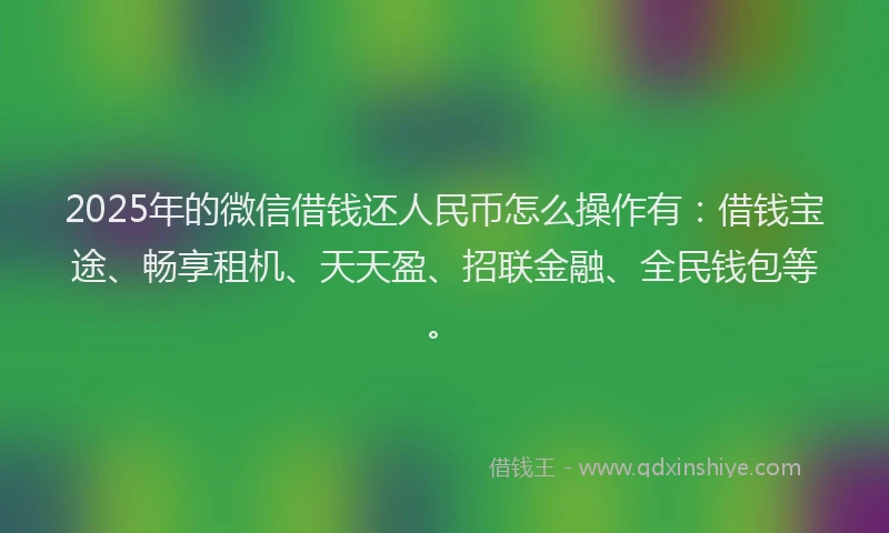 2025年的微信借钱还人民币怎么操作有：借钱宝途、畅享租机、天天盈、招联金融、全民钱包等。