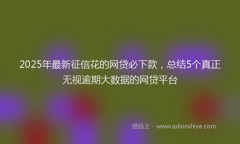 2025年最新征信花的网贷必下款，总结5个真正无视逾期大数据的网贷平台