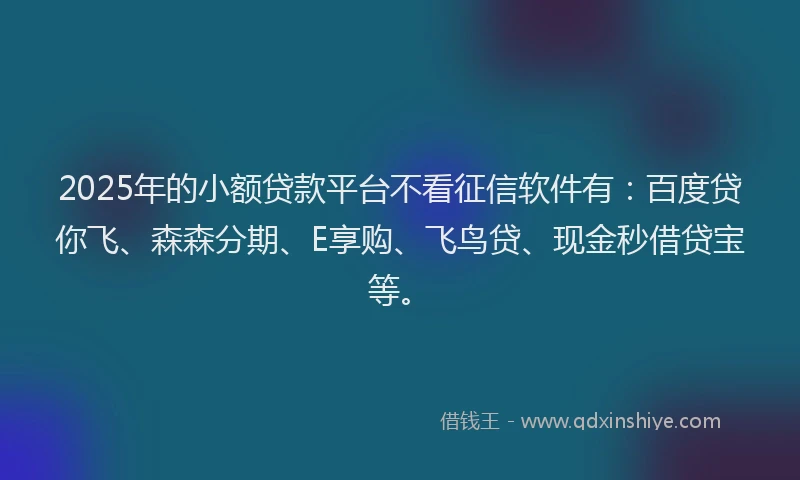 2025年的小额贷款平台不看征信软件有：百度贷你飞、森森分期、E享购、飞鸟贷、现金秒借贷宝等。