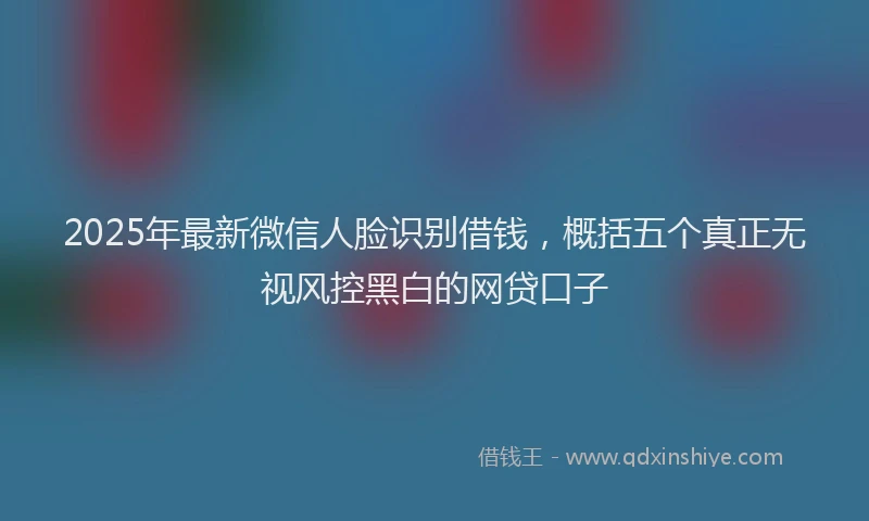 2025年最新微信人脸识别借钱，概括五个真正无视风控黑白的网贷口子