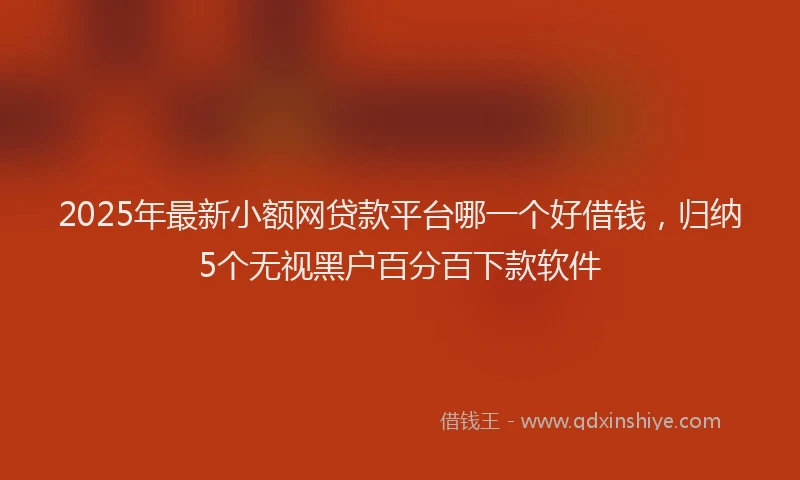 2025年最新小额网贷款平台哪一个好借钱，归纳5个无视黑户百分百下款软件