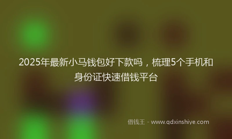 2025年最新小马钱包好下款吗，梳理5个手机和身份证快速借钱平台