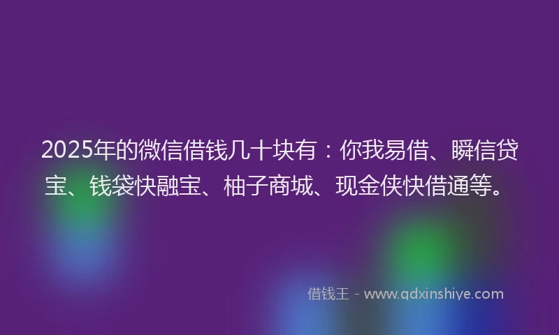 2025年的微信借钱几十块有：你我易借、瞬信贷宝、钱袋快融宝、柚子商城、现金侠快借通等。