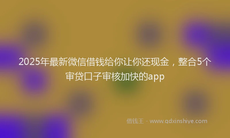 2025年最新微信借钱给你让你还现金，整合5个审贷口子审核加快的app