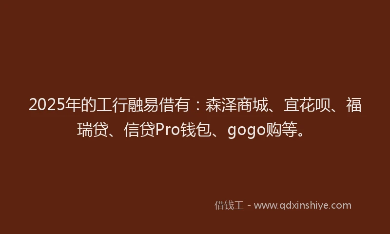 2025年的工行融易借有：森泽商城、宜花呗、福瑞贷、信贷Pro钱包、gogo购等。