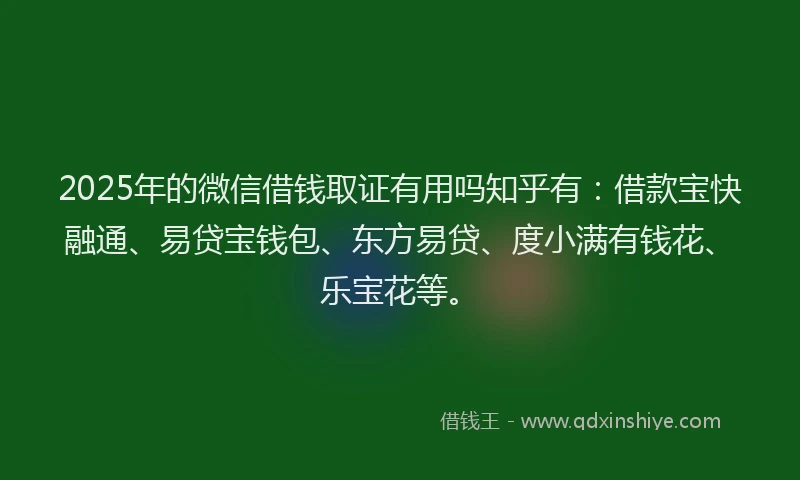 2025年的微信借钱取证有用吗知乎有：借款宝快融通、易贷宝钱包、东方易贷、度小满有钱花、乐宝花等。