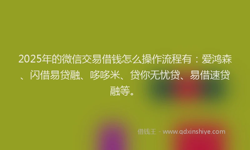 2025年的微信交易借钱怎么操作流程有：爱鸿森、闪借易贷融、哆哆米、贷你无忧贷、易借速贷融等。