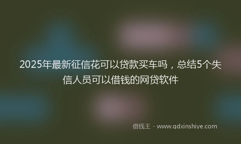 2025年最新征信花可以贷款买车吗，总结5个失信人员可以借钱的网贷软件