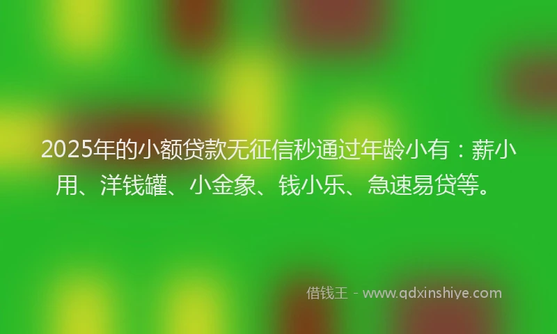 2025年的小额贷款无征信秒通过年龄小有:薪小用、洋钱罐、小金象、钱小乐、急速易贷等。